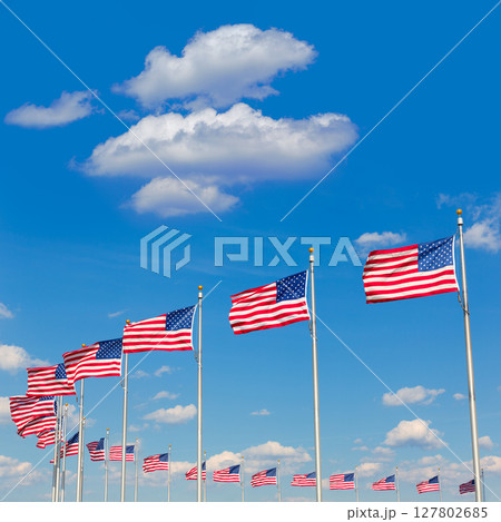 Washington Monument flags in DC USA 127802685