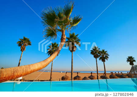 Resort infinity pool in a beach with palm trees Resort infinity pool in a beach with palm trees 127802846