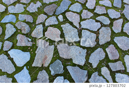 Granite Rocks Between Green Moss On The Floor Of Ancient Ruins Granite Rocks Between Green Moss On The Floor Of Ancient Ruins 127803702