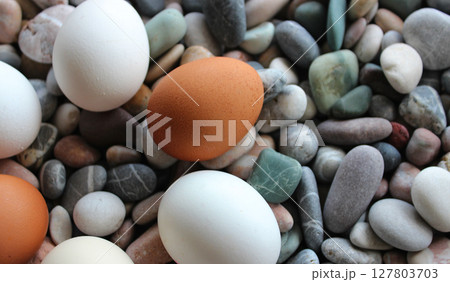 Variety Colors Raw Eggs In Form Of Ring Laid Out On Decorative Stones At Side Of Image Variety Colors Raw Eggs In Form Of Ring Laid Out On Decorative Stones At Side Of Image 127803703