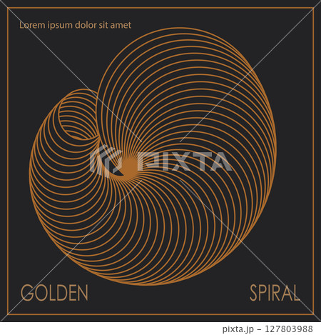 The golden spiral. A design template for the design of a cover, banner, poster. Linear composition for interior design, decorations and creative ideas 127803988
