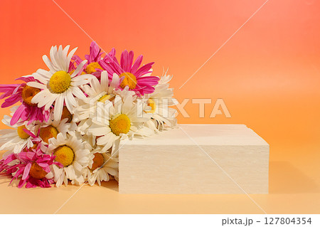 Empty podium with beautiful flowers of garden chamomile and mallow.Abstract flower arrangement,banner.Creative template for your design.Minimal modern aesthetics, elegant beauty concept Empty podium with beautiful flowers of garden chamomile and mallow.Abstract flower arrangement,banner.Creative template for your design.Minimal modern aesthetics, elegant beauty concept 127804354