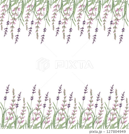 Watercolor seamless border of salvia and lavender .Hand-drawn clip-art on white background.Delicate realistic images of Medicinal herbs for packaging, textiles, printing, holiday cards, wedding, menu 127804949