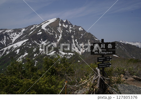 群馬県谷川岳　天神平駅から峠リフトで天神峠に到着　残雪の谷川岳を見る　2025年5月21日 127805376
