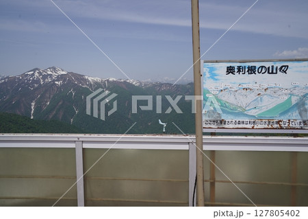 群馬県谷川岳 天神平駅から峠リフトで天神峠に到着 展望台から白毛門方面を見る 2025年5月21日 群馬県谷川岳 天神平駅から峠リフトで天神峠に到着 展望台から白毛門方面を見る 2025年5月21日 127805402