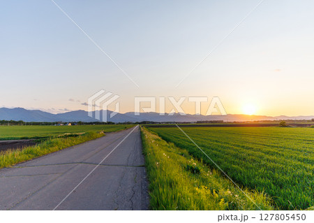 夕焼けと十勝の畑 127805450