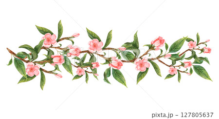 Watercolor pink flowers handmade. Flowers of peach, apple, apricot, cherry Watercolor pink flowers handmade. Flowers of peach, apple, apricot, cherry 127805637