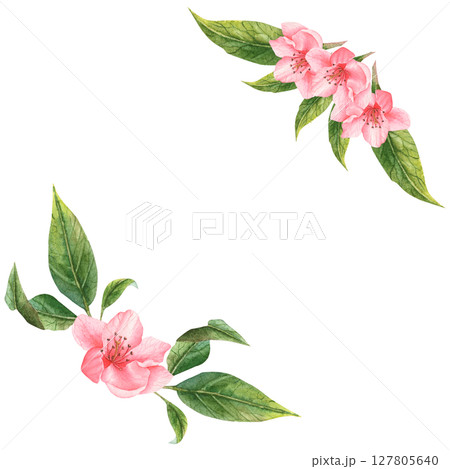 Watercolor pink flowers handmade. Flowers of peach, apple, apricot, cherry Watercolor pink flowers handmade. Flowers of peach, apple, apricot, cherry 127805640