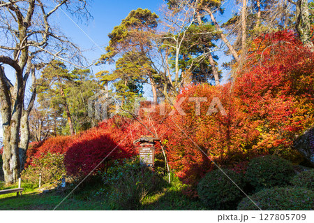 秋の長野県飯田市　紅葉の天龍峡 127805709