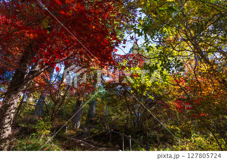 秋の長野県飯田市　紅葉の天龍峡 127805724