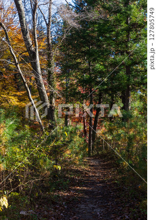 秋の長野県飯田市　紅葉の天龍峡 127805749
