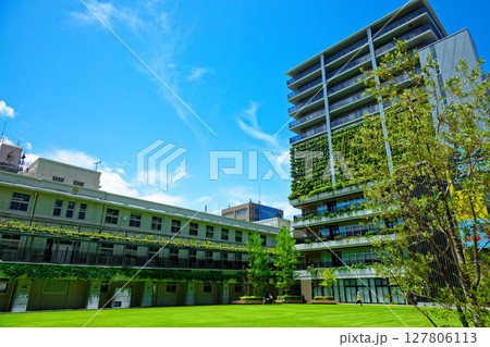 若葉と新緑の大名小学校　大名ガーデンシティ 127806113