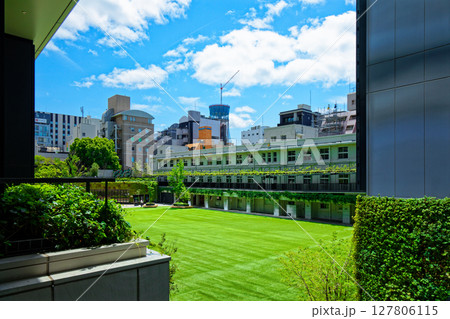 若葉と新緑の大名小学校　大名ガーデンシティ 127806115