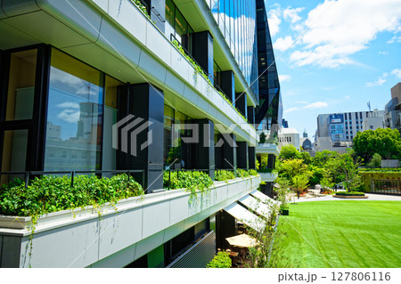 若葉と新緑の大名ガーデンシティ 127806116