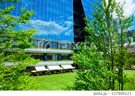 若葉と新緑の大名ガーデンシティ 若葉と新緑の大名ガーデンシティ 127806121