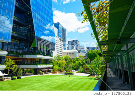 若葉と新緑の大名小学校　大名ガーデンシティ 127806122