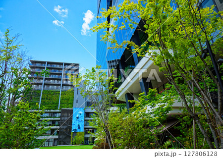 若葉と新緑の大名ガーデンシティ 若葉と新緑の大名ガーデンシティ 127806128