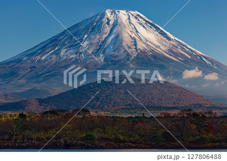 精進湖畔から見る晩秋の富士山と大室山 精進湖畔から見る晩秋の富士山と大室山 127806488