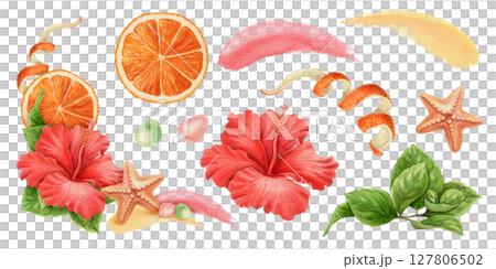 Set of orange slice and Hibiscus flower in realistic watercolor style. Starfish with brushstroke and beach elements form vivid tropical corner arrangement. Perfect for summer design and floral use. 127806502