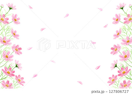 水彩で描いたコスモスのフレーム 127806727
