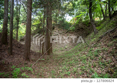 滝山城 二の丸大馬出周囲の空堀 滝山城 二の丸大馬出周囲の空堀 127806824