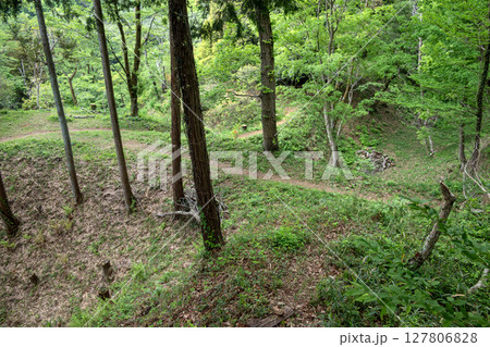 滝山城　二の丸馬出しと土橋 127806828