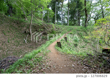 滝山城　二の丸馬出しと土橋 127806829