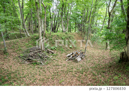 滝山城 二の丸角馬出 滝山城 二の丸角馬出 127806830