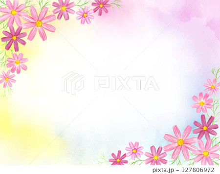 水彩で描いたコスモスのフレーム　水彩背景 127806972