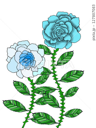 ラップ踊って楽しんでいるブルーの薔薇たち 127807083