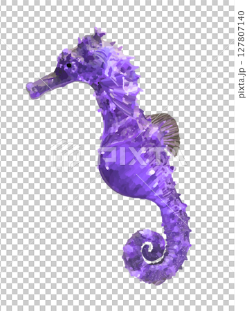 Purple Seahorse 127807140