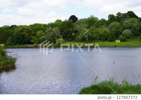 ハムステッドヒース ハムステッドヒース 127807372