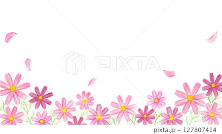 花びら舞うコスモス畑の水彩イラスト 127807414