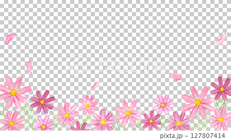 花びら舞うコスモス畑の水彩イラスト 127807414
