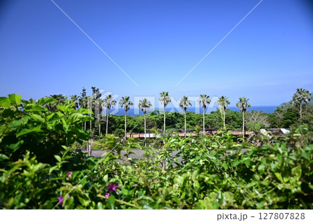 薩摩半島　長崎鼻の美しい岬の風景 127807828