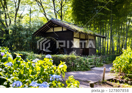東京都府中市郷土の森　水車小屋 127807858
