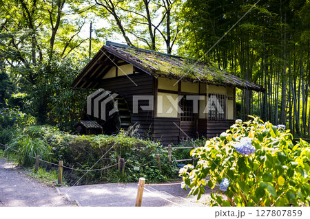 東京都府中市郷土の森　水車小屋 127807859