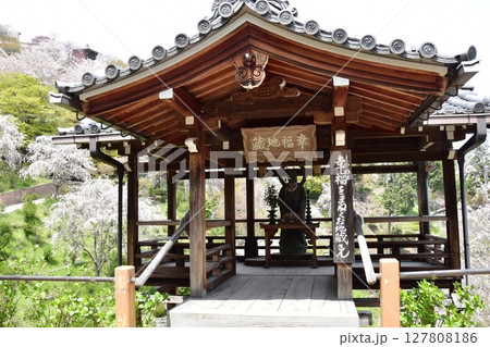 京都市　善峯寺桜あじさい苑の幸福地蔵と満開枝垂桜 127808186