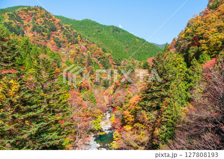 付知峡(秋) 付知峡(秋) 127808193