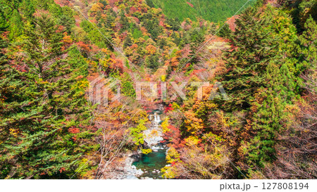 付知峡(秋) 付知峡(秋) 127808194