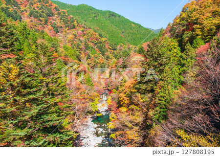 付知峡(秋) 付知峡(秋) 127808195
