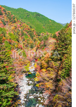 付知峡(秋) 付知峡(秋) 127808197