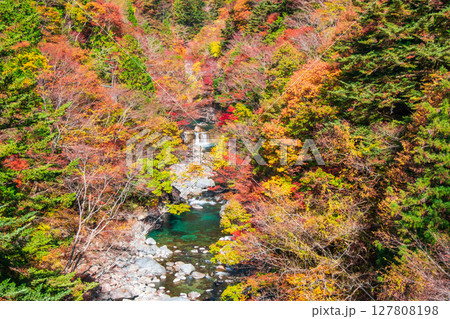 付知峡(秋) 付知峡(秋) 127808198