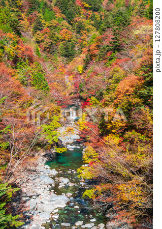 付知峡（秋） 127808200