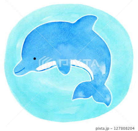 イルカのイラスト（背景水色） 127808204