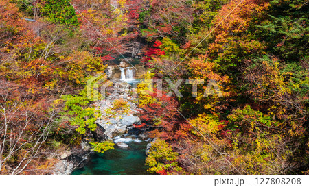 付知峡(秋) 付知峡(秋) 127808208