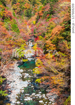 付知峡(秋) 付知峡(秋) 127808209