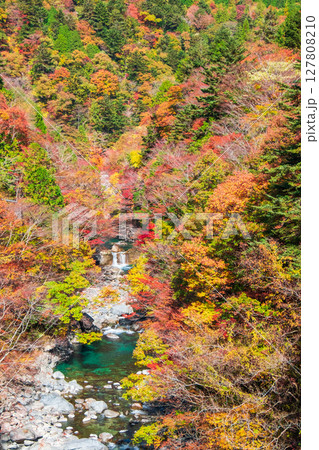 付知峡(秋) 付知峡(秋) 127808210