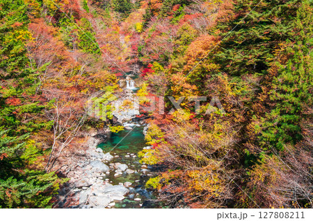 付知峡(秋) 付知峡(秋) 127808211
