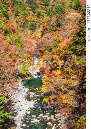 付知峡(秋) 付知峡(秋) 127808213